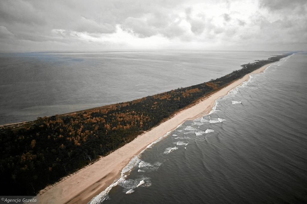 Obrazek posiada pusty atrybut alt; plik o nazwie image-59.png